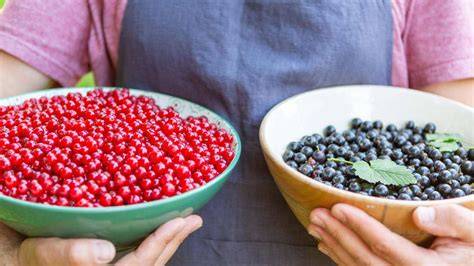Johannisbeeren und Orangen auf hölzernem Untergrund, Marmeladengläser und Löffel