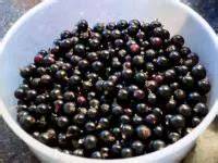 Johannisbeeren waschen und putzen