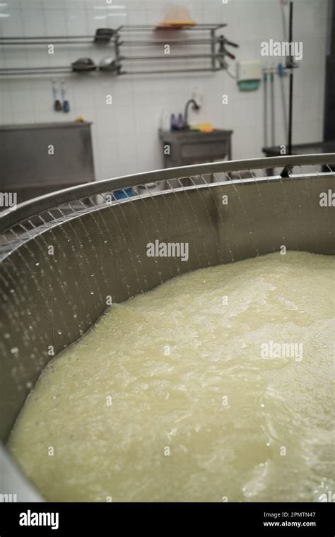 Käseherstellung: Abtropfen der Laibe