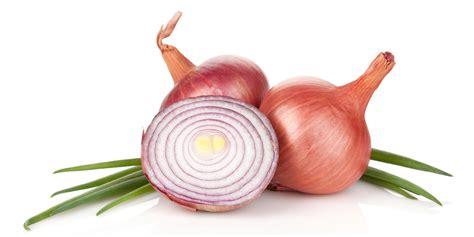 Küchen- und Heilpflanze Zwiebel