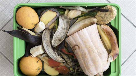 Küchenabfälle als natürliche Dünger für den Garten
