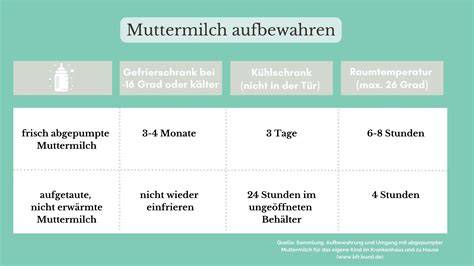 Kühlzeiten und Lagerung von No-Bake-Kuchen