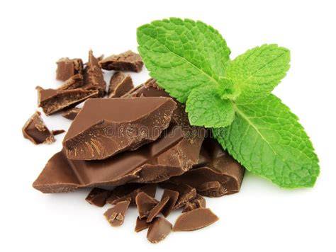 Künstlerische Darstellung: Schokolade und Minze als Rezeptinspiration