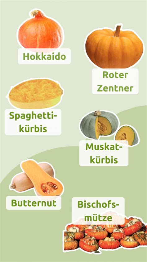 Kürbisse verschiedener Sorten auf dem Markt