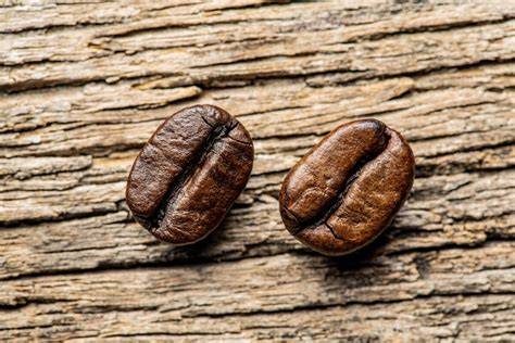 Kaffee & Holunderblütenschorle zu Brombeertorte serviert