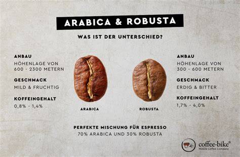 Kaffeebohnen: Arabica und Robusta