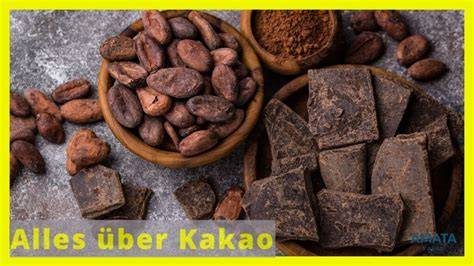 Kakao und Herz-Kreislauf-Gesundheit