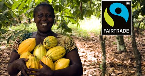 Kakaoanbau, Fairtrade, Nachhaltigkeit
