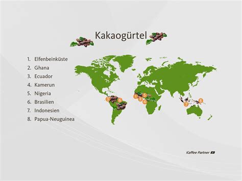 Kakaobaum und Anbaugebiete weltweit