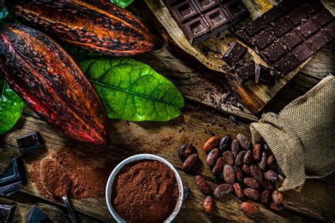Kakaobohne, Rohkakao und Schokoladen-Tafel im Vergleich