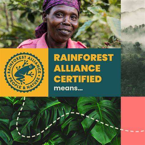 Kakaobohnen, Zertifizierungssiegel Rainforest Alliance