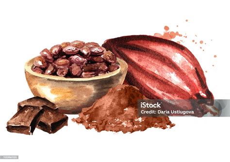 Kakaobohnen und Schokoladenstücke, grafische Darstellung