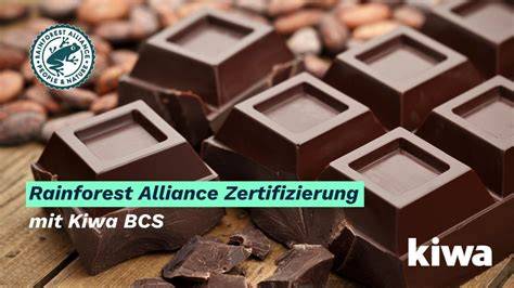 Kakaobohnen und Zertifizierung Rainforest Alliance
