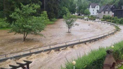 Kakaoplantage nach Starkregen - Schäden und verschimmelte Schoten
