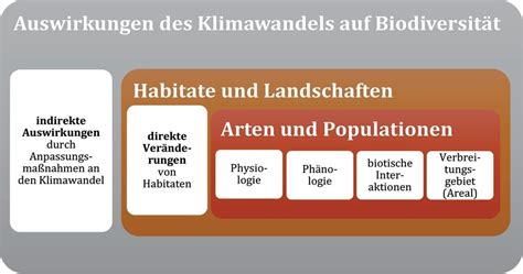 Kakaoplantagen und ihre Auswirkungen auf Biodiversität