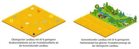 Kakaoproduktion: Konventionell vs. Bioanbau