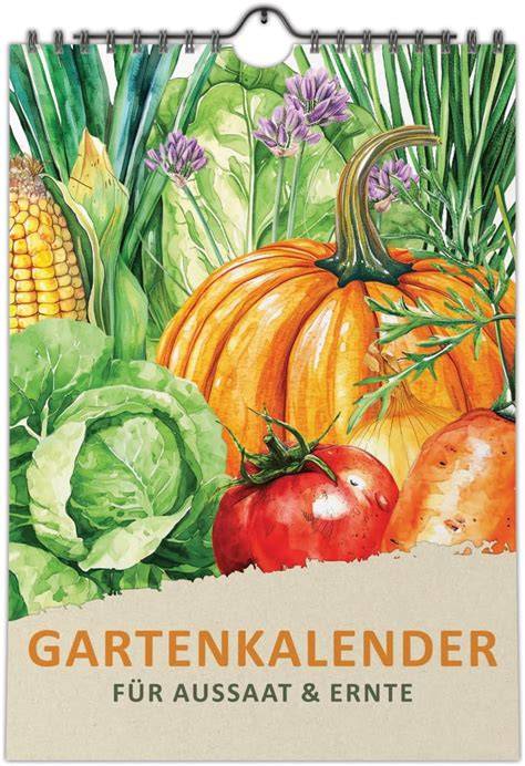 Kalender: Kirschsaison - Zeitrahmen für Ernte und Kochen