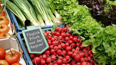Kalender der Brombeersaison und regionale Herkunft