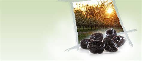 Kalifornische Trockenpflaumen, aromatisch und saftig, als perfekte Zutat für Lebkuchen