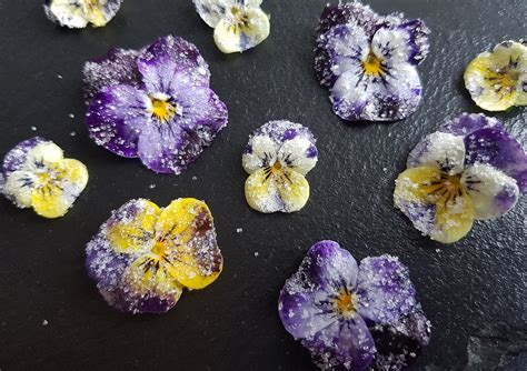 Kandierte Blüten - Übersicht der verschiedenen essbaren Sorten