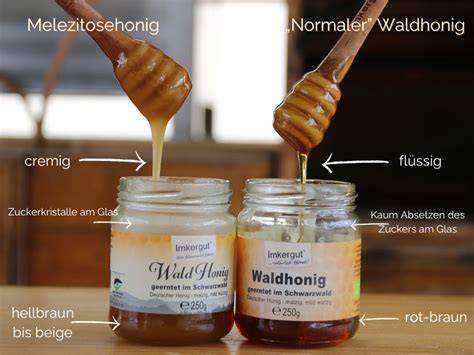 Kandisierter und flüssiger Honig nebeneinander zur Verdeutlichung des Unterschieds