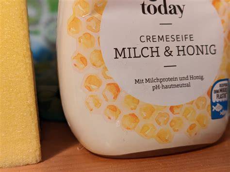 Kapitelübersicht und Hauptthemen von „Milch und Honig“ als Infografik