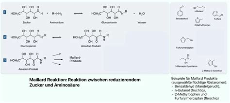 Karamellisierung und Maillard-Reaktion beim Backen