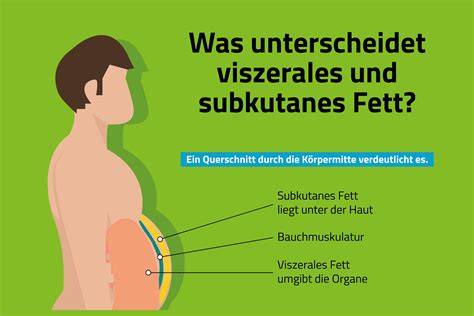 Karte: Einflussfaktoren auf Brustvolumen (Genetik, Fettverteilung, Ernährung)