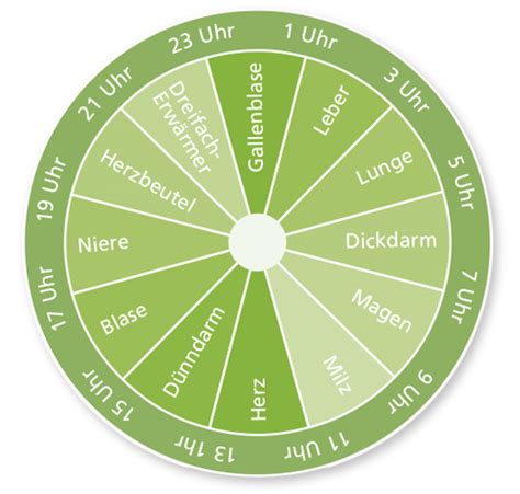 Karte: Organuhr und optimale Essenszeiten in der TCM