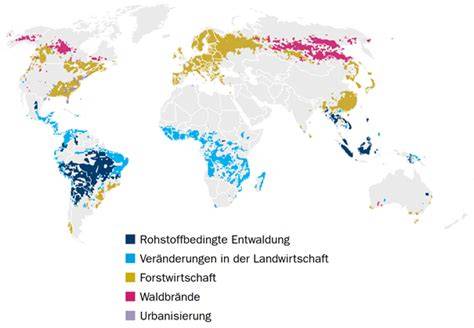Karte: Palmölanbau, Entwaldung und Lieferketten-Transparenz