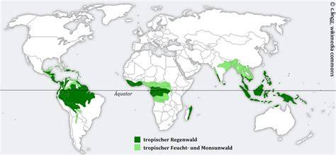 Karte: Regionen der Palmölproduktion und Regenwaldflächen