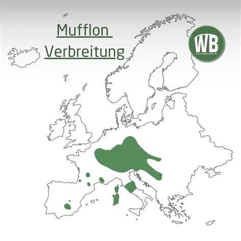 Karte: Verbreitung Kilbilebkuchen in Innerschweiz