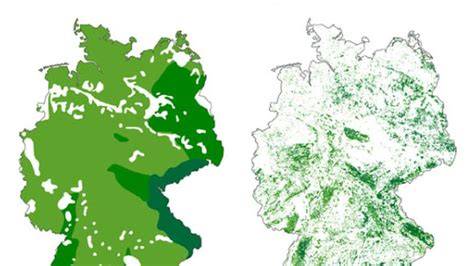 Karte: Verbreitung von Waldflächen in Deutschland