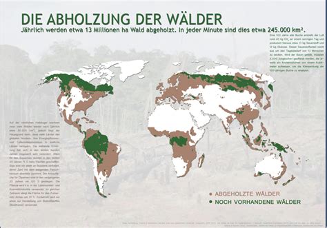 Karte: Weltweite Palmölanbaugebiete und Regenwaldabholzung