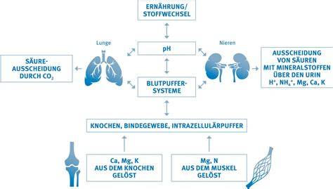Karte Säure-Basen-Regulation im Körper