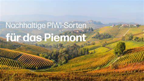 Karte der Herkunftsregionen von Nougat: Provence, Piemont, Spanien, Türkei