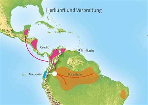 Kartendarstellung: Ursprünge und Verbreitung des Kakaos seit der Maya und Azteken bis nach Europa