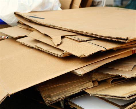 Karton als vielseitige Verpackungslösung: Infografik