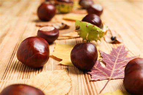 Kastanien als frische Zutat und in verschiedenen Dessertdarreichungen