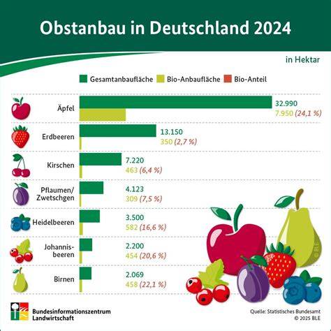 Kastenform-Größen und Backzeiten - Infografik