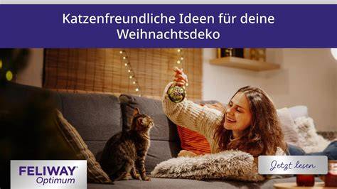 Katzenfreundliche Weihnachtsgestaltung