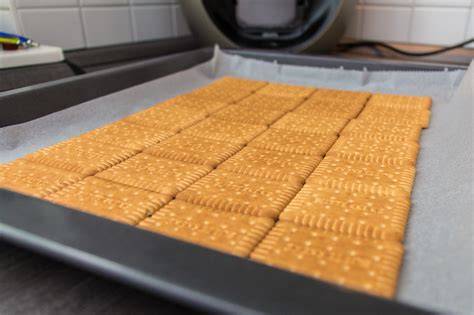 Keksboden aus zerbröselten Keksen mit Butter gemischt, festgedrückt in einer Springform
