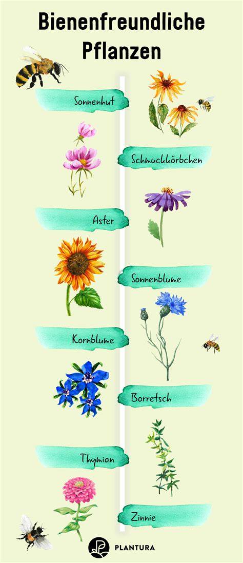 Kinder springen in Pfützen und Pflanzen Blumen für die Bienen