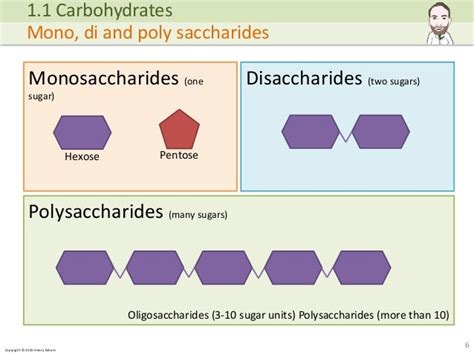 Klassifizierung von Zuckerarten (Infografik: Mono-, Di-, Oligo- und Polysaccharide)