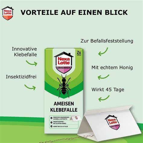 Klebefalle mit Honig im Einsatz