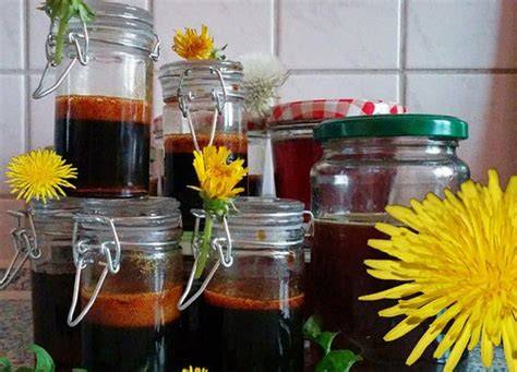 Klee- und Löwenzahnblüten: Die Grundzutaten für veganen Honig
