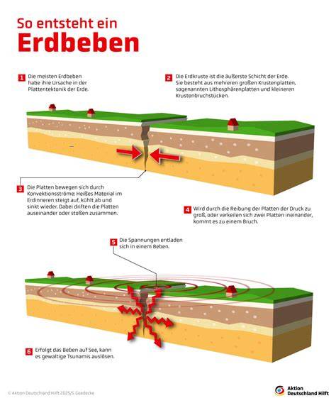 Kleine Infografik: So entstehen Zuckerkristalle