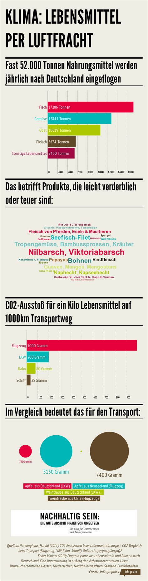 Klima Score Infografik zur CO2-Bilanz von Lebensmitteln