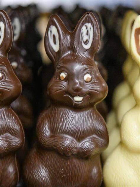 Klimaschutz-Symbolik neben verschiedenen Schoko-Osterhasen