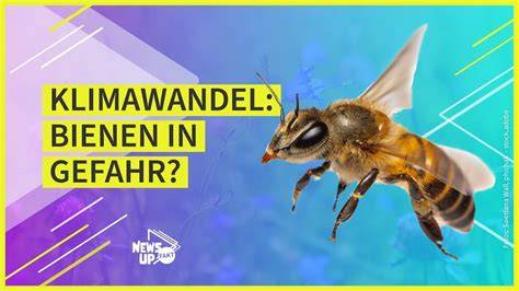 Klimawandel und Bienen auf Kreta
